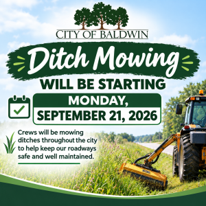 Ditch Mowing